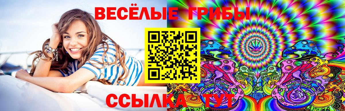 Галлюциногенные грибы прущие грибы  Галлюциногенные грибы мухоморы  купить   Калач-на-Дону  Вход с VPN 