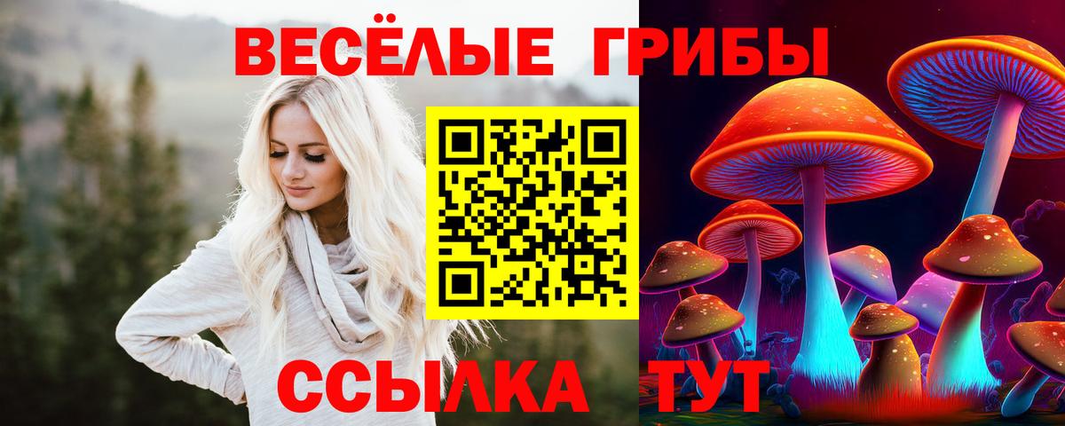 Псилоцибиновые грибы Cubensis Калач-на-Дону
